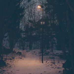 Meet your Posher, Ava